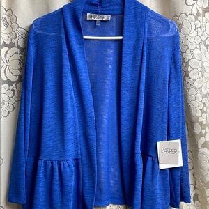 Kasper Women's Blue Sweater